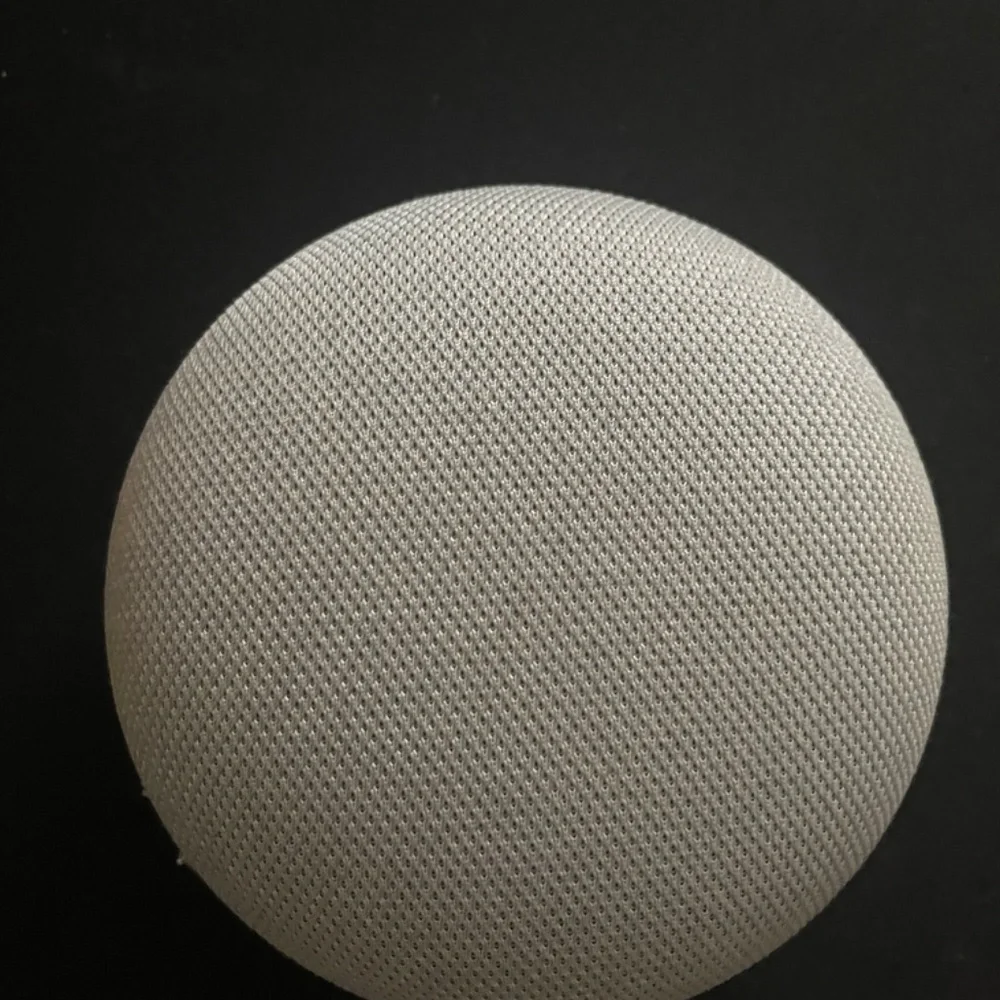 Google Home Mini Gen 1